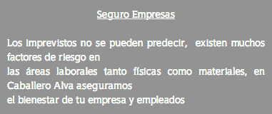Seguro Empresas Los imprevistos no se pueden predecir, existen muchos factores de riesgo en las áreas laborales tanto físicas como materiales, en Caballero Alva aseguramos el bienestar de tu empresa y empleados 