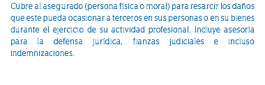 Cubre al asegurado (persona física o moral) para resarcir los daños que este pueda ocasionar a terceros en sus personas o en su bienes durante el ejercicio de su actividad profesional. Incluye asesoría para la defensa jurídica, fianzas judiciales e incluso indemnizaciones.